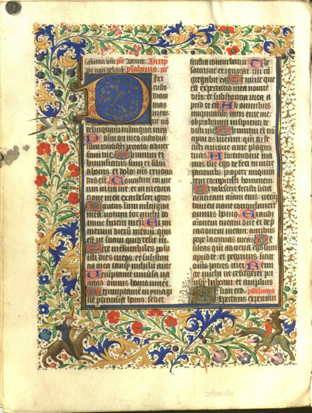 Chew Breviary, jousting animals